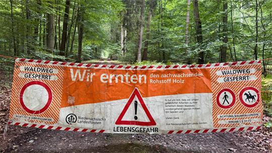 Spaziergänger aufgepasst: Im Neukloster Forst werden wegen massiver Baumfällungen und dem Einsatz schwerer Maschinen viele Wege gesperrt.