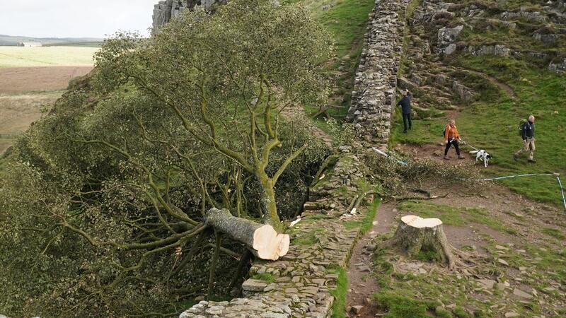 Spaziergänger gehen im September 2023 am illegal gefällten Berg-Ahorn-Baum („Sycamore Tree“) am Hadrianswall in Northumberland vorbei.