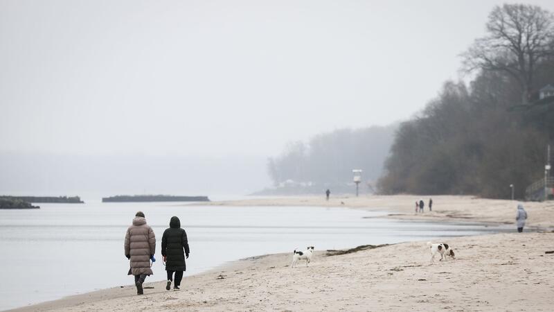 Wetterdienst sieht kaum Chancen für weiße Weihnachten Spaziergänger mit Hunden sind bei leichtem Nieselregen am Strand von Schilksee bei Kiel.
