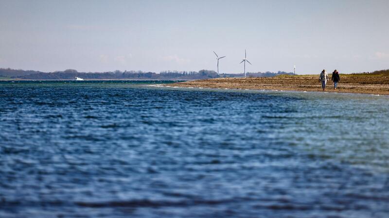 Segellehrer filmt Buckelwal aus kurzer Entfernung Spaziergänger sind bei sonnigem Wetter an der Flensburger Förde unterwegs.