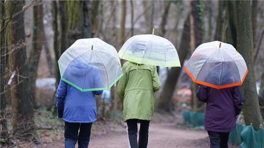 Spaziergang mit Regenschirmen in Hamburg.