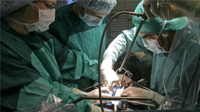 In der Klinik für Urologie am Universitätsklinikum Jena wird bei einer Operation einem Spender eine Niere entnommen, die für eine Transplantation vorgesehen ist.