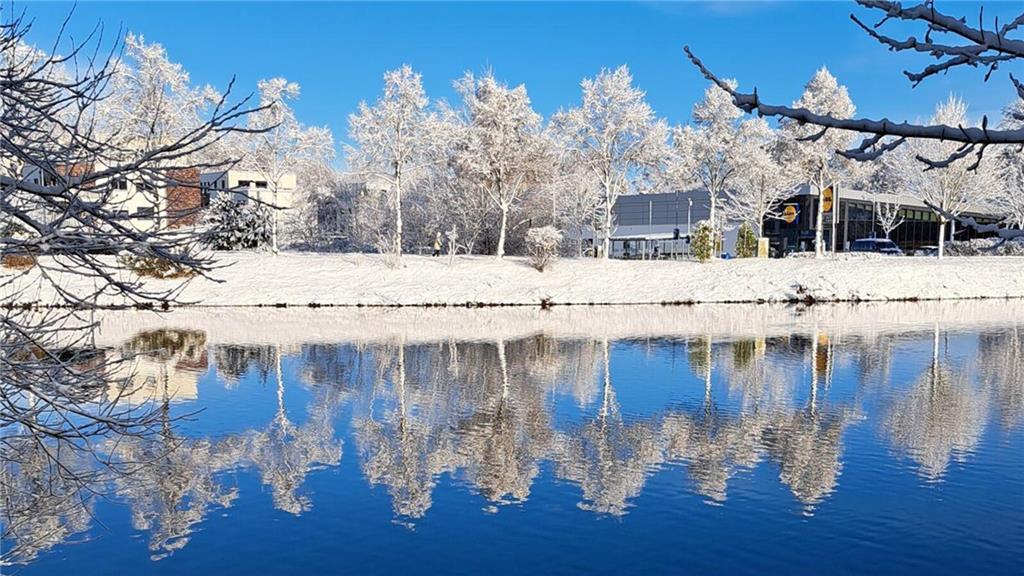 Spiegelnde Bäume im Buxtehuder Mühlenteich.