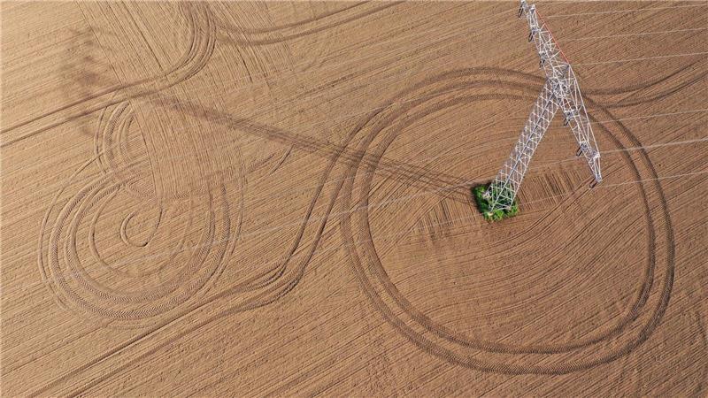 Spuren der Landwirtschaft auf einem Feld