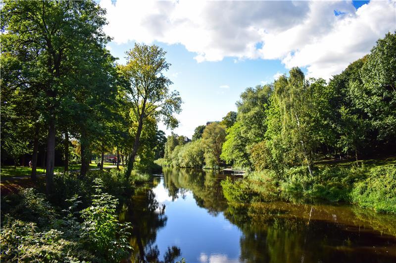 Der Bürgerpark in Stade mit Blick auf Gewässer und Bäumen.