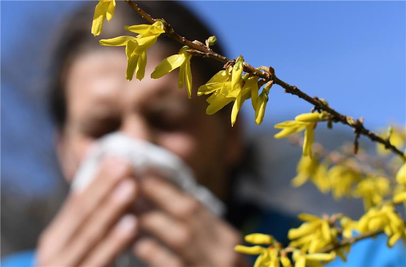 Ständig triefende Nase: Die Pollen-Hochsaison kann für Allergiker ein Alptraum sein. Foto: Angelika Warmuth/dpa