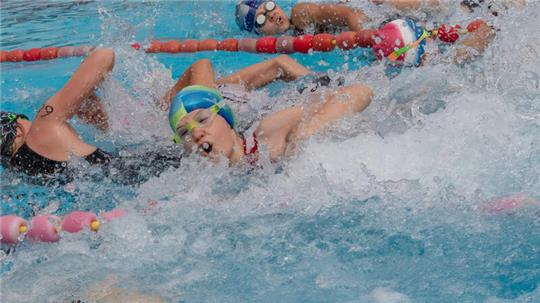 Startschuss für den Swim & Run in Buxtehude. Die Veranstaltung soll jetzt zum Triathlon erweitert werden - im Alten Land.