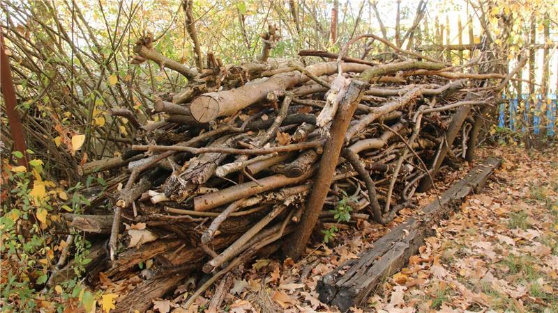 Nabu: Tipps für tierfreundliche Winterquartiere im naturnahen Garten Stauden, Reisig und Laub sind wertvolle Materialien, die vielen Tieren ein gutes Überwintern ermöglichen.