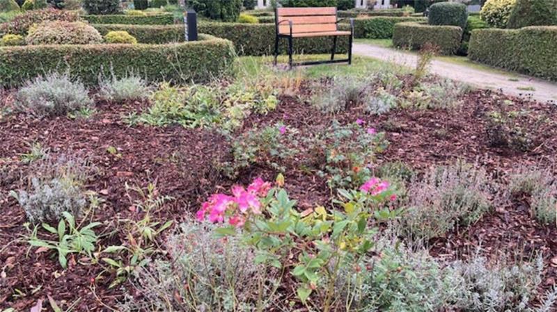 Staudengrabstätte für Urnen: Die Pflanzen blühen bis in den Herbst, wie hier noch bis Ende Oktober.