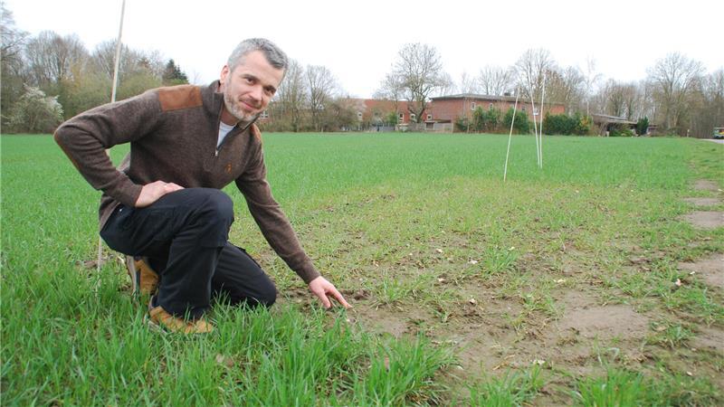 Steffen Tobaben-Merkens zeigt am Weizenfeld den Wachstumsunterschied mit Düngung und rechts einen Abschnitt völlig ohne Düngung.
