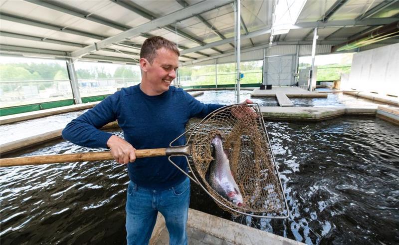Stephan Winkelmann, Geschäftsführer der Heidefisch GmbH, kontrolliert eine Forelle am Rande seiner Aufzuchtbecken. Heidefisch bietet nicht nur das Fleisch der Forellen, sondern auch den Kavier an. Foto: Philipp Schulze/dpa