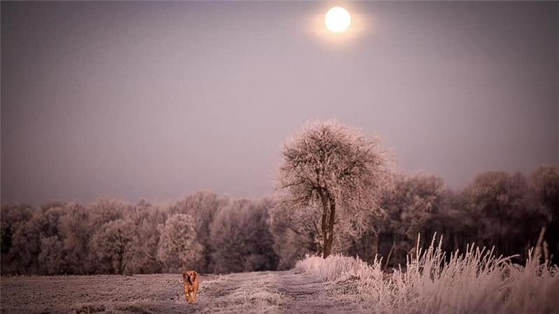 Stephanie Klawitter hat dieses Foto beim Spaziergang in Estorf fotografiert.