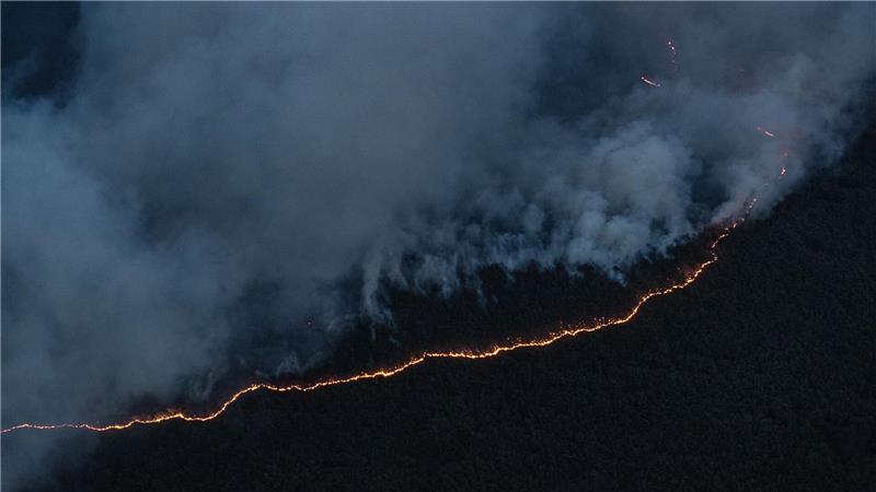 Stetig frisst sich das Feuer durch einen Wald in den Bergen bei Uiseong in der Provinz Nord-Gyeongsang im Südosten Südkoreas.