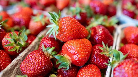 Stiftung Warentest hat Erdbeeren auf gesundheitlich bedenkliche Rückstände untersucht.
