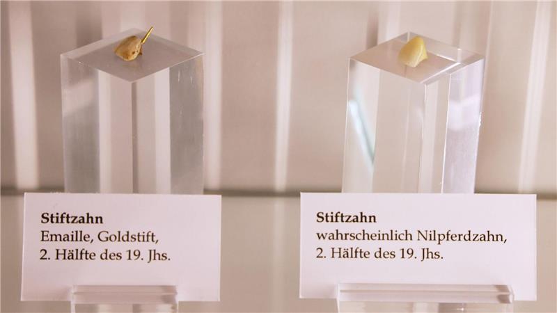 Schädel und Knochen gestapelt auf dem Kiez Stiftzähne in einem Schaukasten.