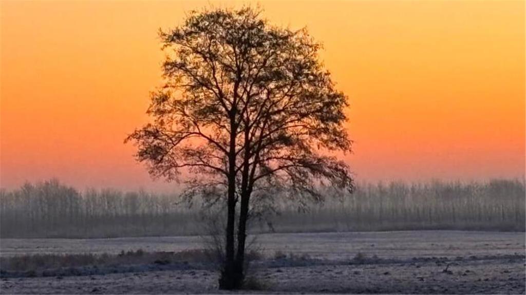 Stillleben in Dollern, aufgenommen von Ralf Kimmel.