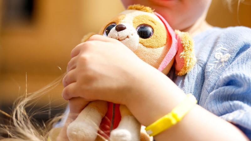 Star Wars, Harry Potter, Pokémon: Lizenzspielzeuge im Handel Stoffhund von PAW Patrol. In Spielzeuggeschäften hat man oft die Qual der Wahl.