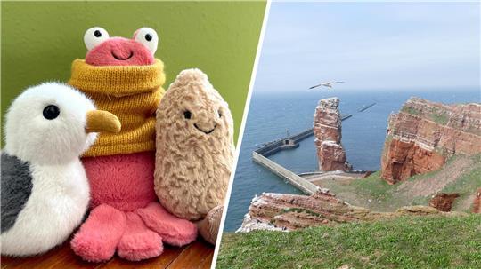 Stofftiere von Jellycats (von links) wie Möwe, Krabbe und Erdnuss sind dank TikTok der Renner. Auf Helgoland sorgt der Hype für eine Überraschung.