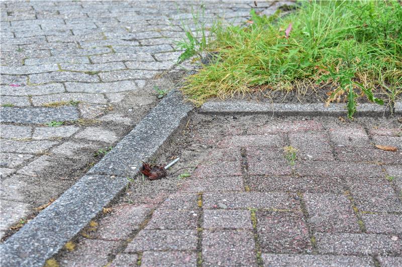 In Horneburg gefährden Elterntaxis Kinder - Anwohner von Verkehr genervt Stolpergefahr für Schulkinder an einem Bordstein.