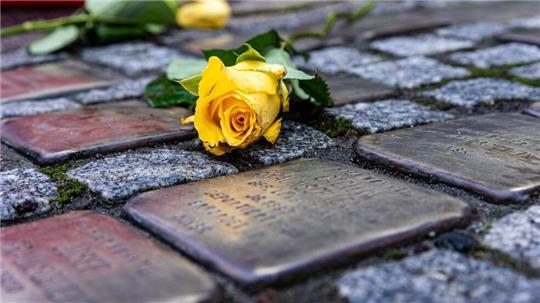 Stolpersteine erinnern an Opfer der Nationalsozialisten (Archivbild)