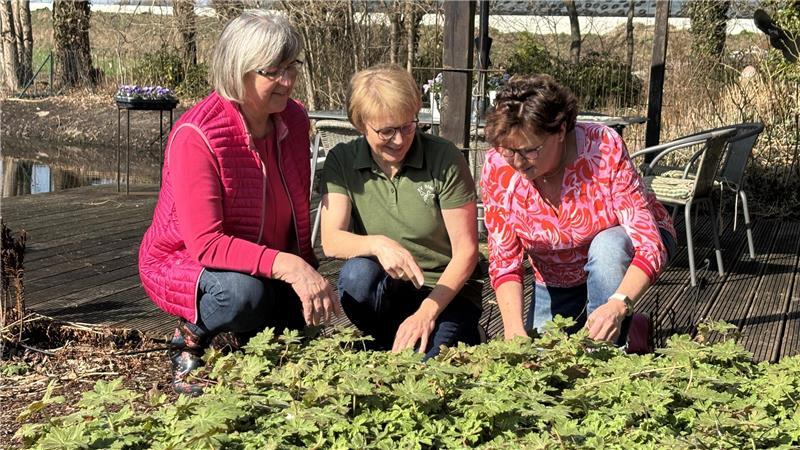 Storchschnabel ist für die Landfrauen Heike Wille (von links), Birgit Dammann-Tamke und Anke Alpers ein Top-Bodendecker.
