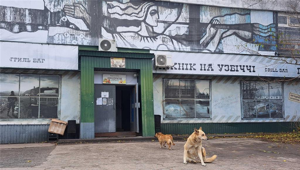 Straßenhunde sitzen vor einem Lebensmittelgeschäft "Picknick am Wegesrand" in de...