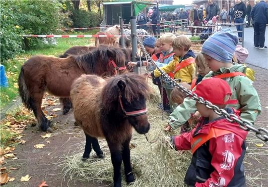 Streichelzoo statt Pferdehandel auf dem Horneburger Herbstmarkt: den Kindern vom Awo-Kindergarten „HoKi“ gefällt’s. Fotos: Lohmann