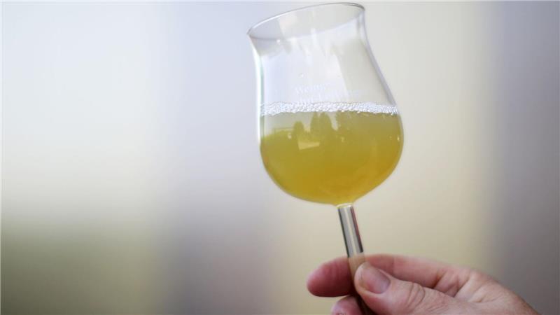 Süffig, süß, spritzig - die Federweißer-Saison beginnt Süffig und spritzig - bald wird wieder Federweißer getrunken. (Archivbild)