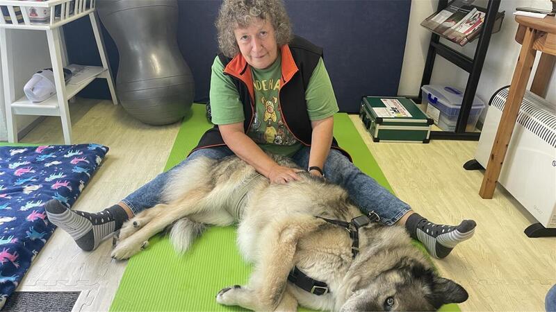 Susanne Zander behandelt Hund Dinghy.