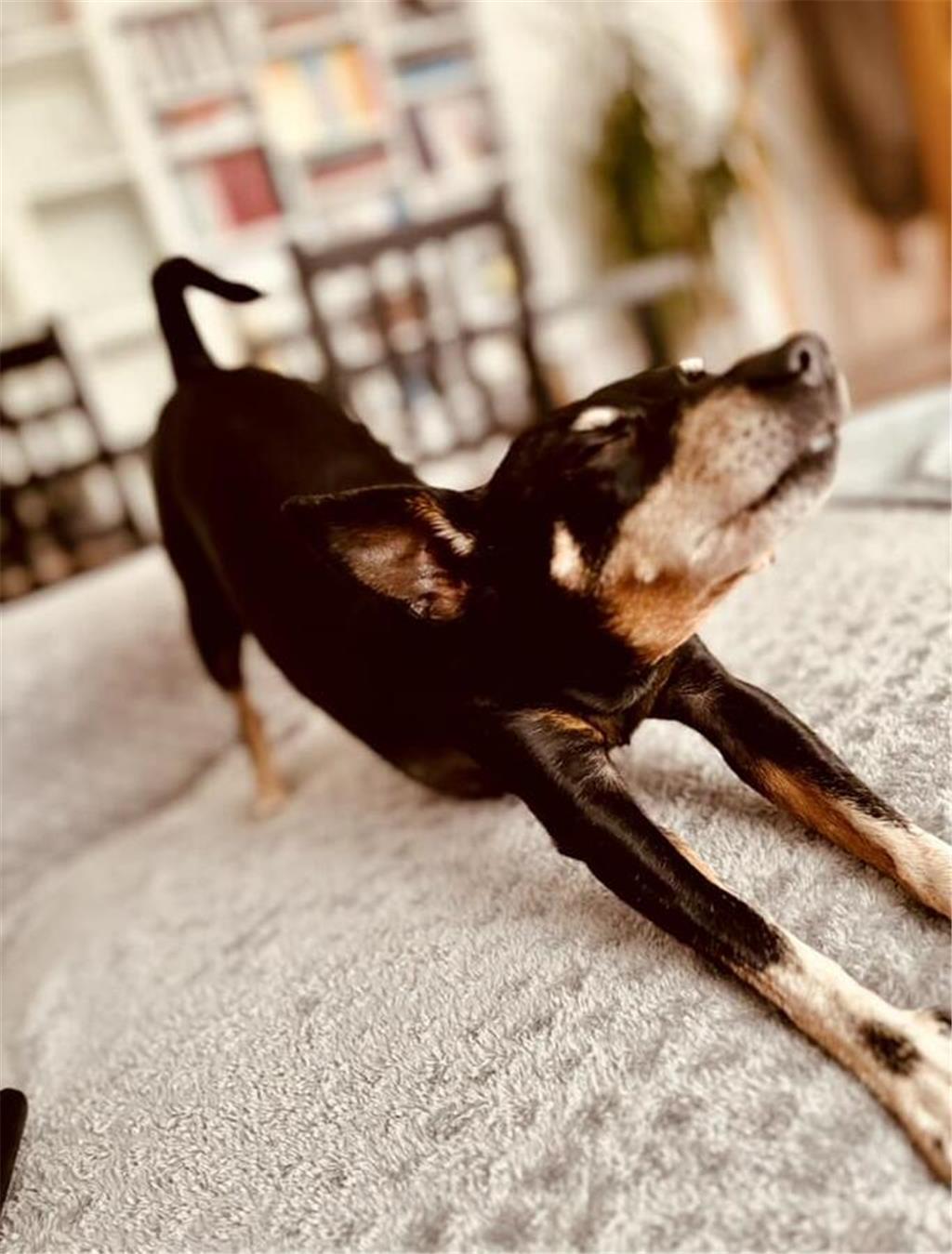 Swen: "Coco, die kleine Oma, hat ihren eigenen Kopf. Aber sie liebt es, unsere O...