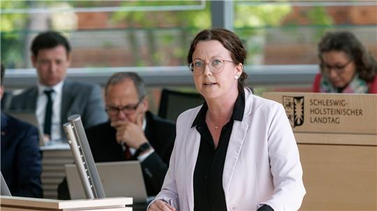 Sybilla Nitsch will Vorsitzende des Südschleswigschen Wählerverbandes (SSW) werden. (Archivbild)