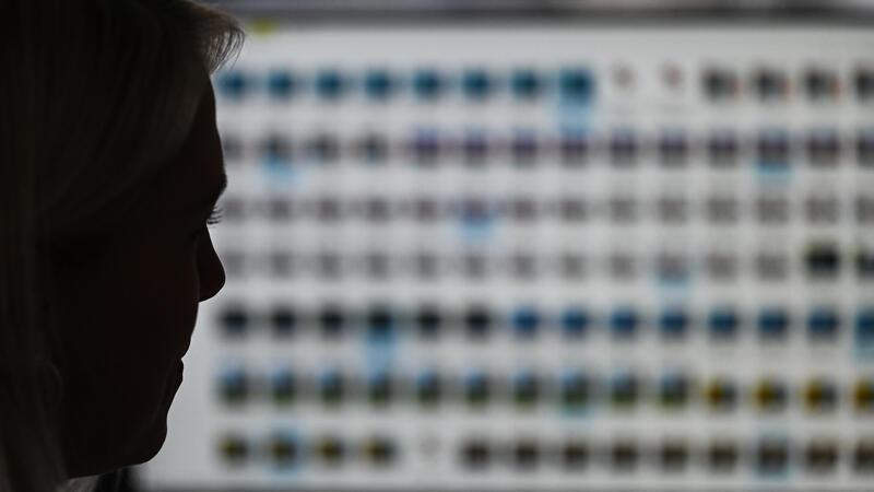 Eine Ermittlerin der Besonderen Aufbauorganisation BAO Fokus (Fallübergreifende Organisationsstruktur gegen Kinderpornografie und sexuellen Missbrauch von Kindern) sitzt im Landeskriminalamt Hessen vor einem Monitor mit Fotodateien. 