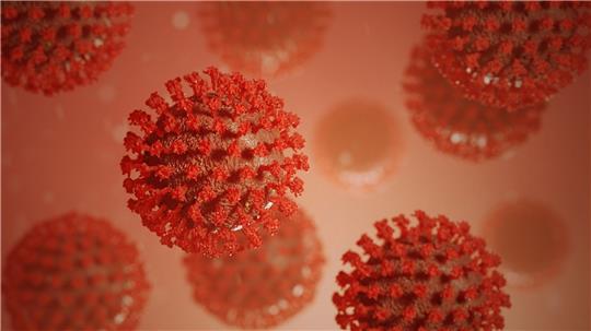 Symbolbild Coronavirus