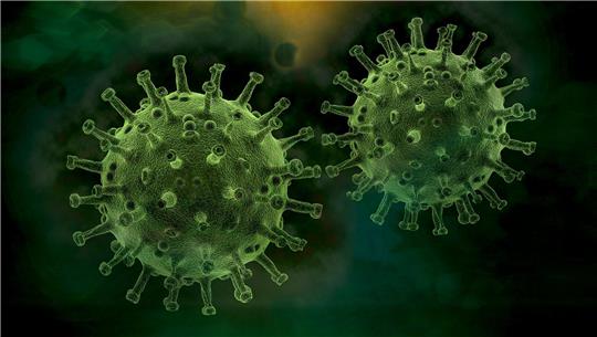 Symbolbild Coronavirus Foto: Pixabay