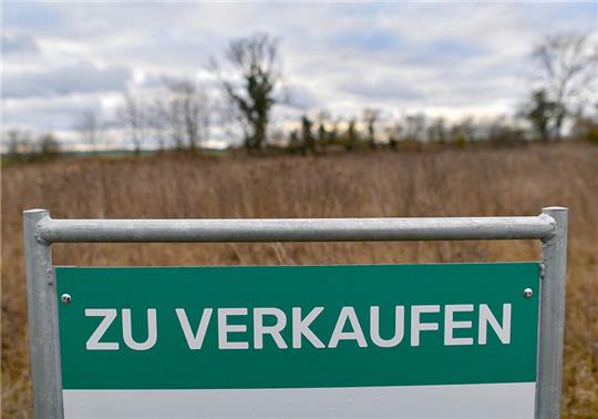 Symbolbild. Foto: Patrick Pleul/dpa