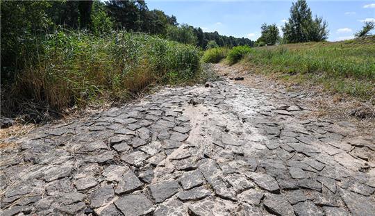 Symbolbild. Foto: Patrick Pleul/dpa-Zentralbild/dpa