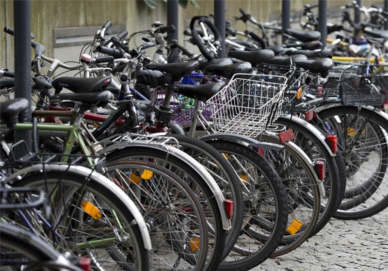 Symbolbild. Foto: Patrick Seeger/dpa