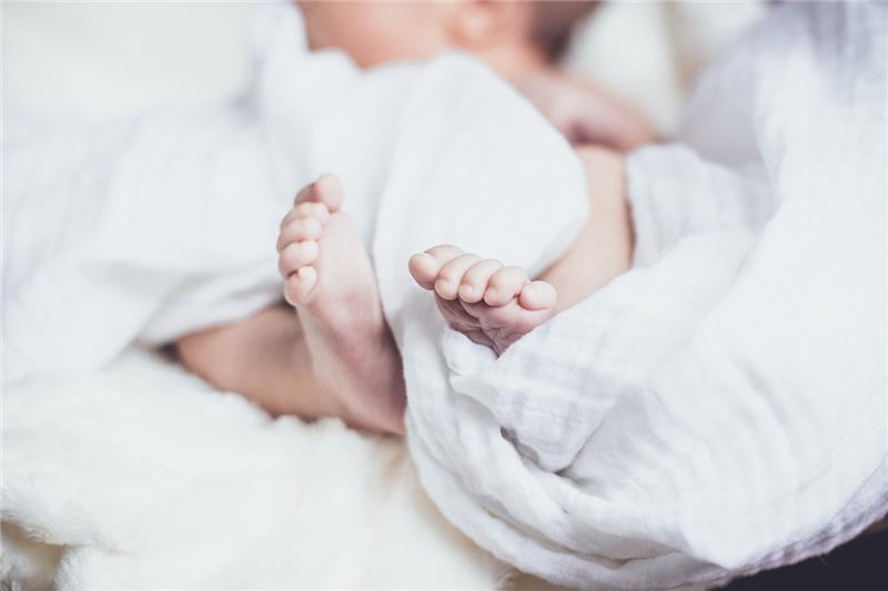 Baby-Café in Buxtehude jetzt an zwei Standorten Symbolbild. Foto: Pixabay/Pexels