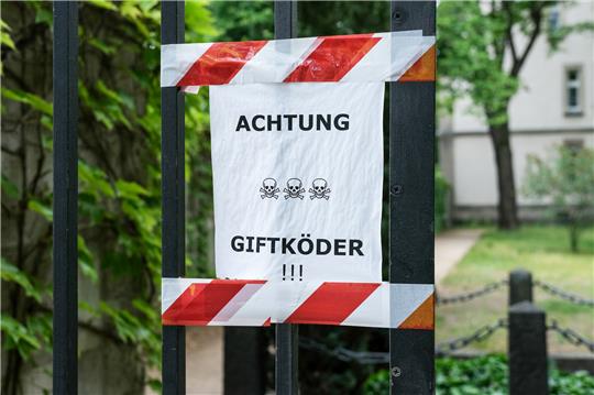 Symbolbild Giftköder. Foto: Jens Kalaene/dpa-Zentralbild/dpa-tmn