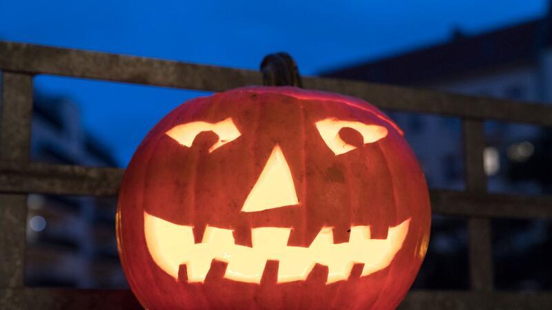 „Halloween-Party“ bei Weselohs Tierleben in Dornbusch Symbolfoto.