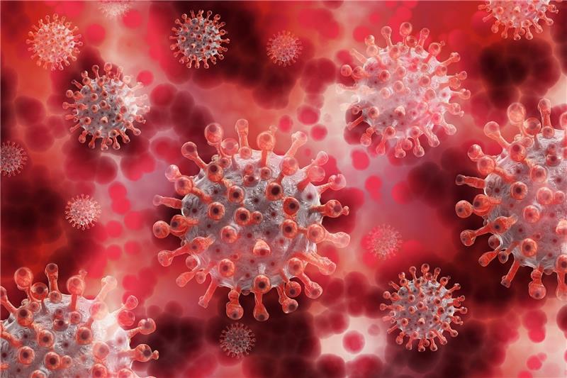 Inzidenz im Landkreis weiter über 500er-Marke Symbolfoto: Coronavirus Foto: Pixabay
