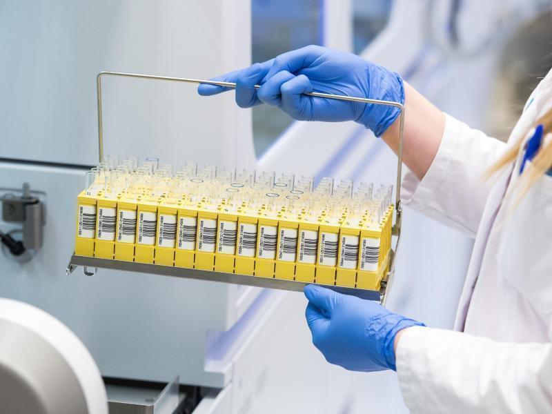 Symbolfoto: Daniel Bockwoldt/dpa