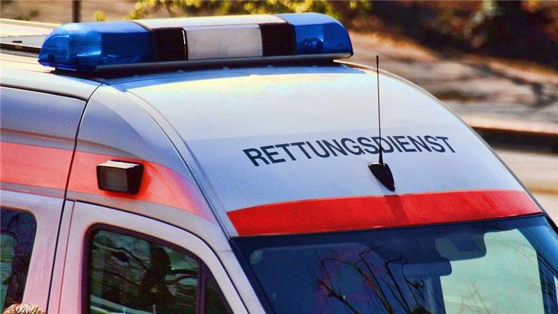 Bulle wehrt sich gegen Gang zum Schlachter und tötet Bauern Symbolfoto: Pixabay