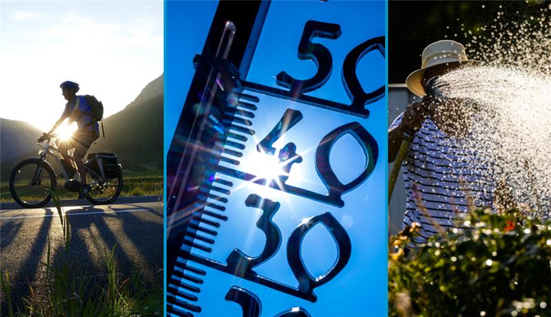 Vom Gießen am Morgen bis zum Drink am Abend: Tipps gegen Hitze Symbolfotos: dpa/pixabay.de