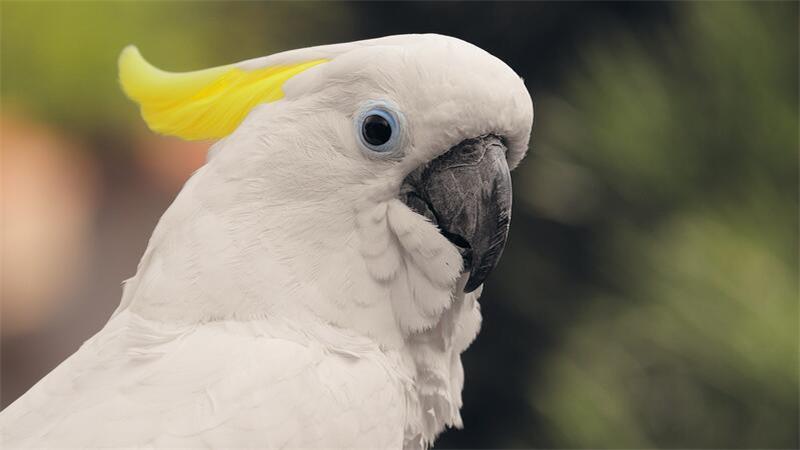(Symolbild)
