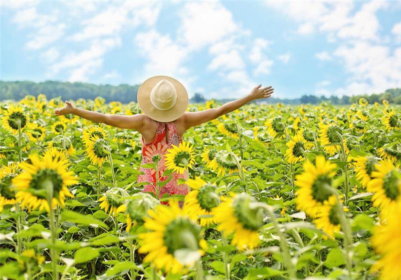 TAGEBLATT-Leser haben auf Instagram unter dem Hashtag #tageblattsommer ihre Sommerfotos gepostet, neun Bilder haben es ins Finale geschafft. Noch bis Freitagmittag können Nutzer über ihren Favoriten abstimmen.