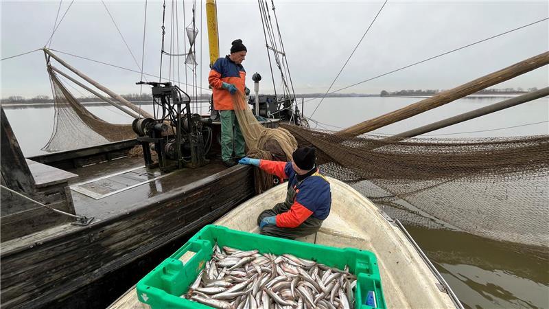 Tag und Nacht war Lothar Buckow bis 2025 in der Stint-Saison mit der Elise auf der Elbe. Der Tidenkalender war sein Terminkalender.