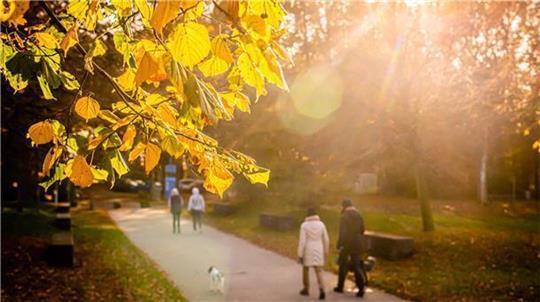 Tagsüber wärmt derzeit noch die Sonne, und nachts bleibt es vergleichsweise mild. Symbolfoto: dpa