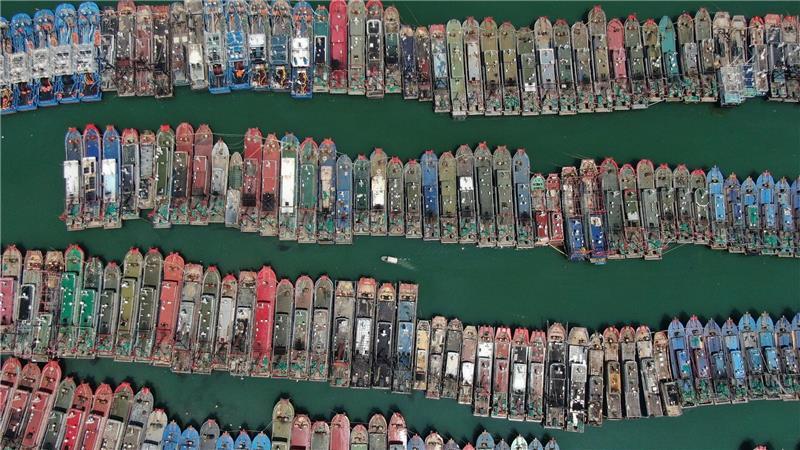 Taifun „Ragasa“ verhindert, dass die Fischer in der südchinesischen Provinz Guangdong aufs Meer fahren. Auch diese Boote bleiben im sicheren Hafen. 