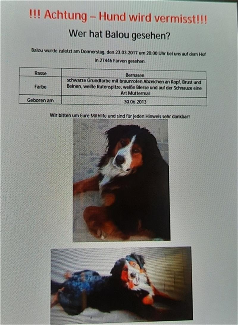 Drei Jahre entführt: Balou ist wieder da Tamkes haben die Vermisstenanzeige von damals noch abgespeichert.